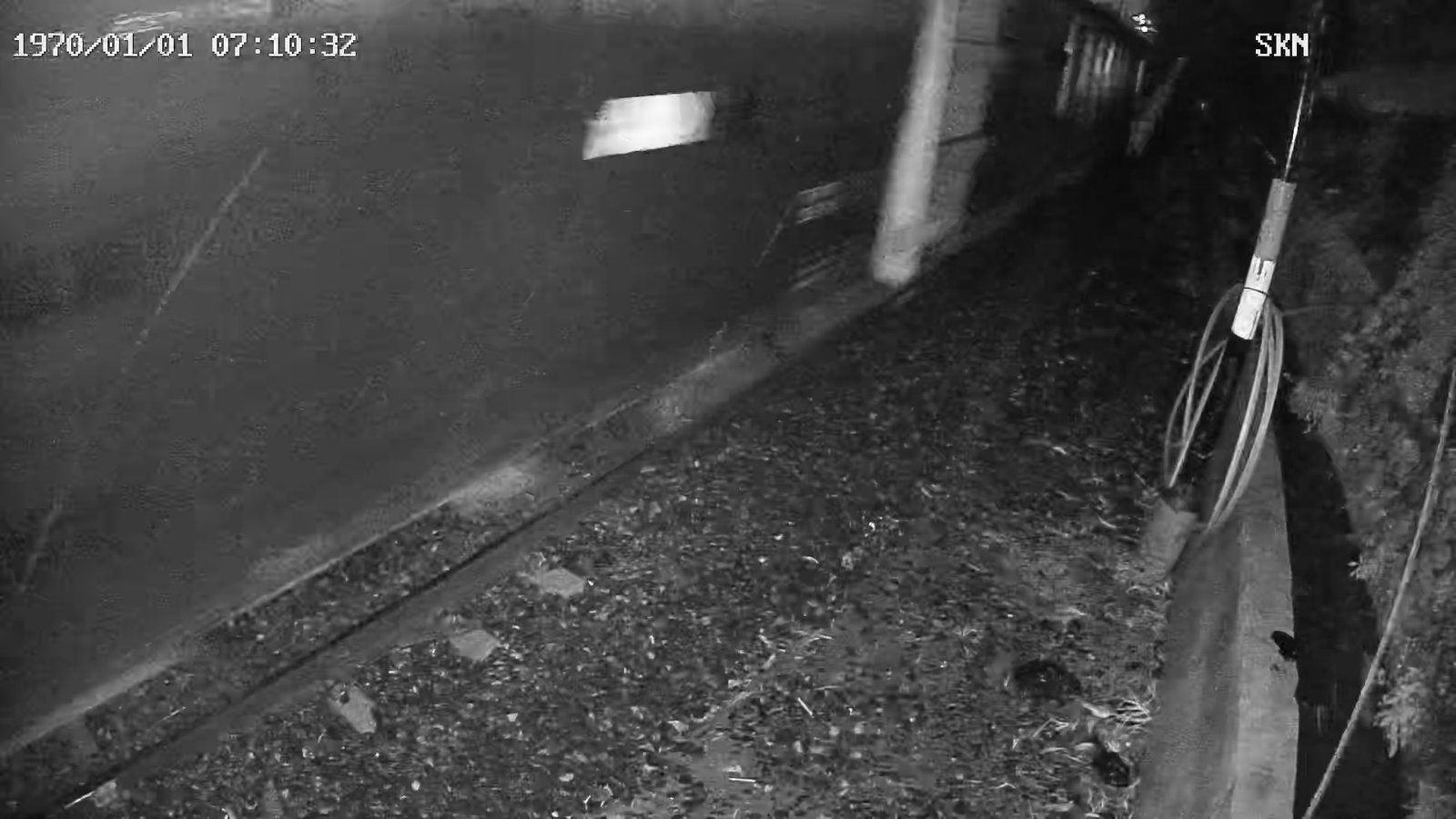 2026-03-08 00:31:58.jpg